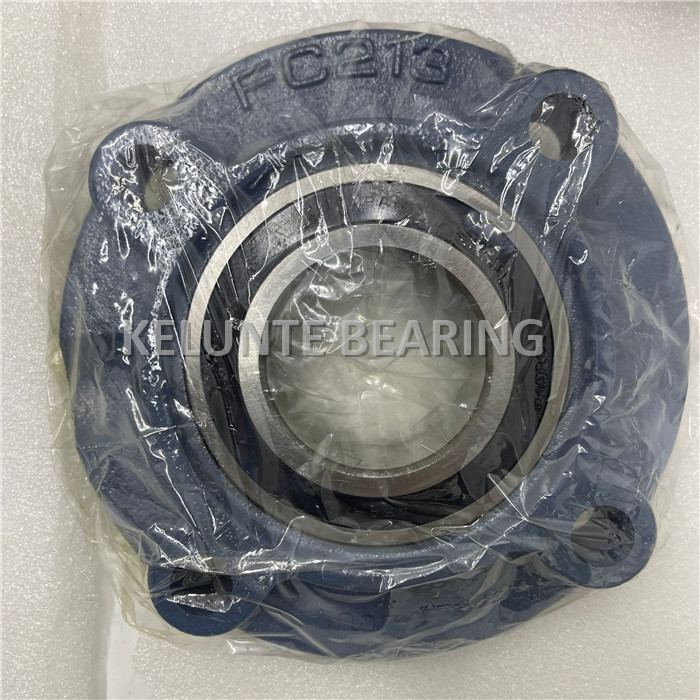 ASAHI UKFC213 Bearing (4)