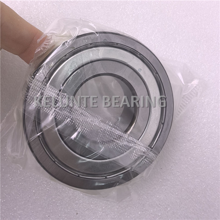 FAG HC6306-2Z-L038-C3 (1)