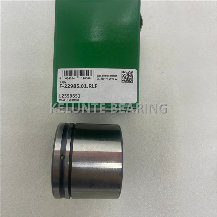 INA F-22985.01.RLF Linear bushing ball bearing 